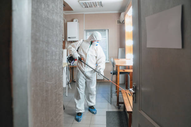 Best Industrial Mold Remediation  in Pageland, SC