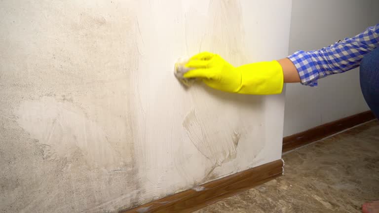 Best Indoor Air Quality Assessment  in Pageland, SC