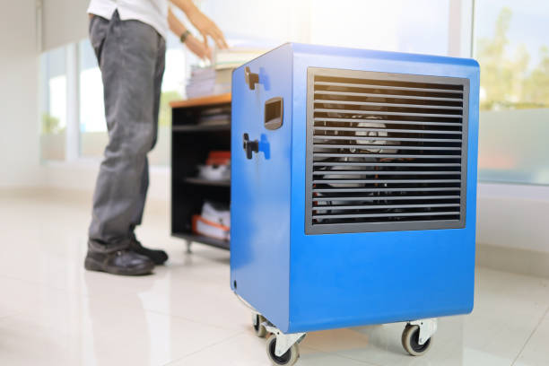 Best Mold Remediation for Rental Properties  in Pageland, SC